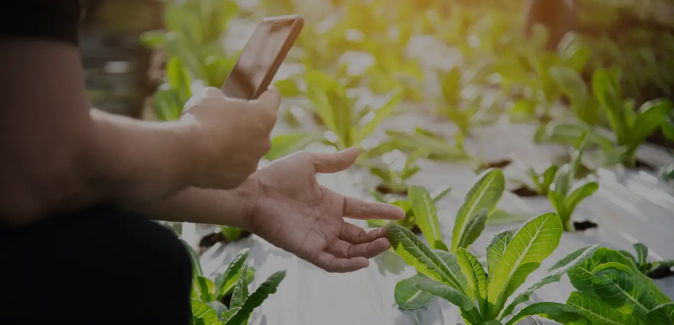 Smart Agriculture Management